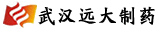 �人Զ����ҩ���Źɷ����޹�˾