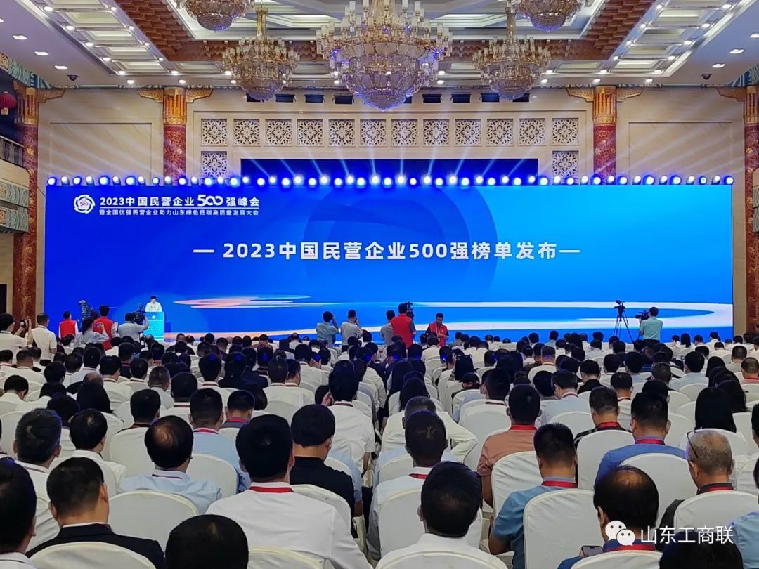 齐鲁制药连续第九次入榜中国民营企业500强，较去年提升19个位次