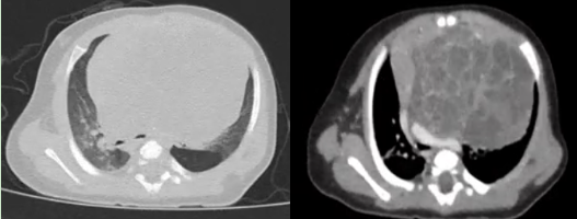 from clipboard from clipboard