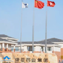 广东康臣药业集团
