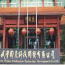 武汉国灸科技开发有限公司